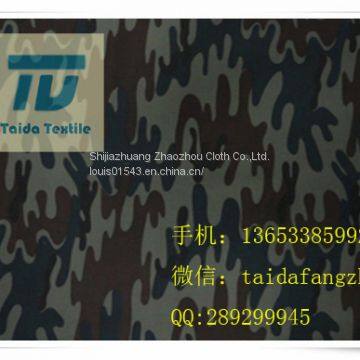 C50x50 80x80 64” photo-2