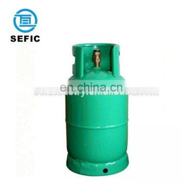 New Year Latest Style LPG Gas Cylinder with camping heater