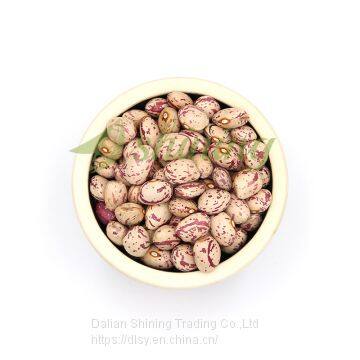 Xinjiang Origin Round Light Speckled Kidney Beans