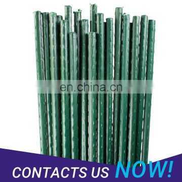 Best price garden stake PE plastic coated carbon steel pipe for palnt support