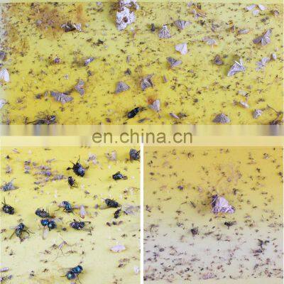 Customized High Quality UV Lighted Fly Glue Trap TRAPS for Insect Control Use 3 Years Guarante With Wholesale Price Glue+paper
