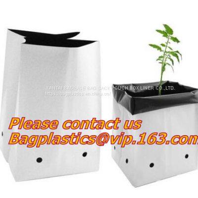 PLANTING GROW BAG, POLY PLANTER, GARDEN BAGS, PVC LAYFLAT HOSE, PUMP TUBING, GARDENING, GROW POT, POT LINER photo-3