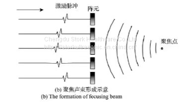 Phased Array Probe