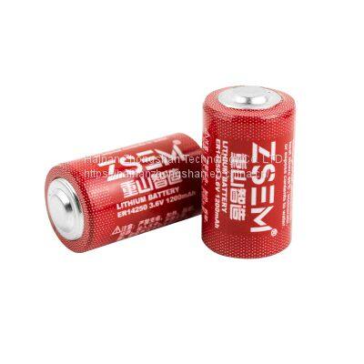 Lithium Battery Smart Water Meter Battery photo-4