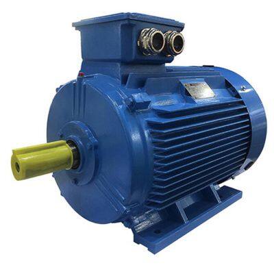 Rare Earth Permanent Magnet Synchronous Motor. Environmentally Friendly and Energy-saving Motor. Trendy Product. Tyb-100l1, L2, L3-4/2.2kw, 3kw, 4kw