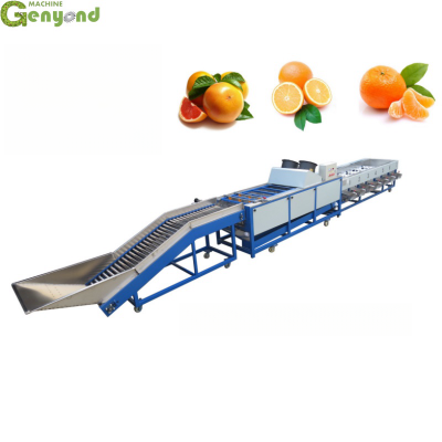 Genyond Factory Fruit Classification Machine Fruit Sorting Machine