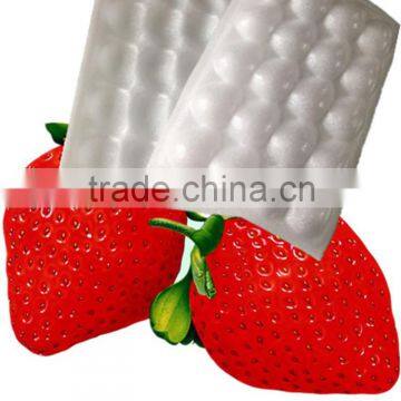 disposable plastic foam food meat blueberry strawberry packing trays