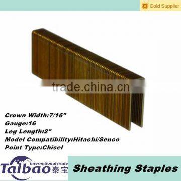 Flat Top Sheathing Staples, 16 Gauge, 7/16" Crown, Electro- Galvanized