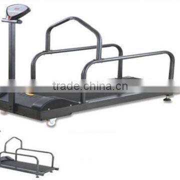 Dog Electric Treadmill