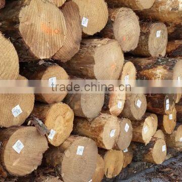 Australia Radiata Pine