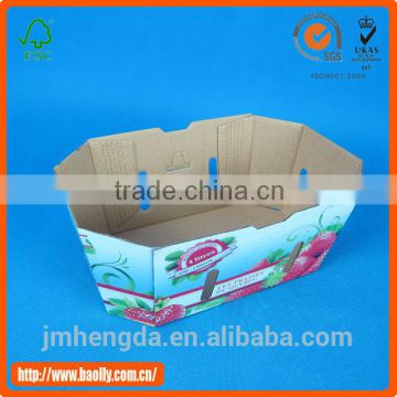 2013 New design custom printed Mushroom Packaging Boxes