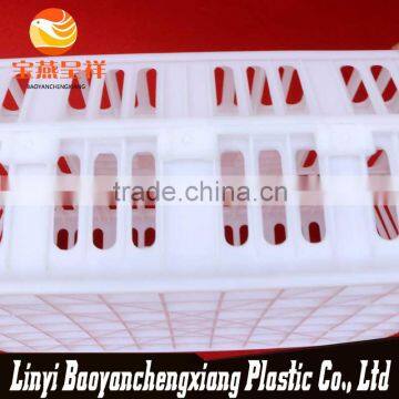 New Polyethylene China Nice Plastic Chicken Cage photo-3