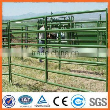 livestock farm fence wire mesh pipe(Anping factory)