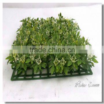 High quality cheap price plastic grass mat simulation grass carpet on sale