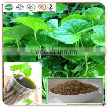 High Quality Cosmetic Grade Gotu Kola Extract