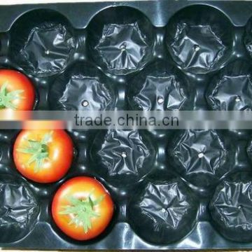 China Disposable Plastic Polystyrene Food Trays