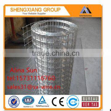 PVC Welded Wire Mesh Panel (factory)