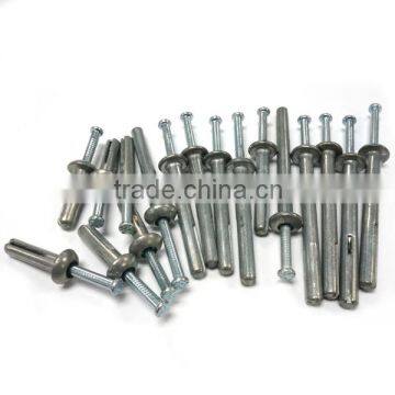 Hit Hammer Drive Zinc Alloy Anchor With Nail photo-2