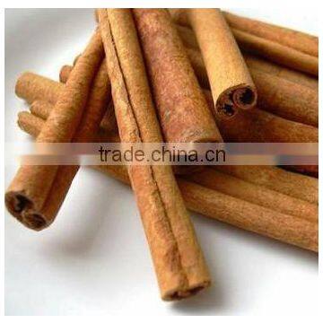 Cinnamon Bark Extract