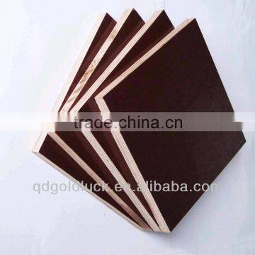 21mm film faced plywood china / russia birch film faced plywood