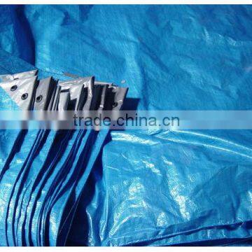 Factory Supplier of Plastic Poly Tarpaulin/high Density Polyethylene