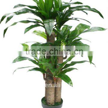 Highly imitation Dracaena plants