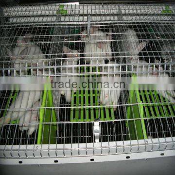 rabbit farming cage