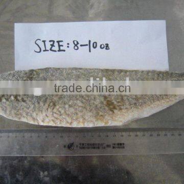 Frozen Red Fish Fillet Skin on Fillet Fish Red Drum