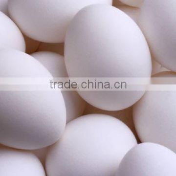 fresh white eggs for sale