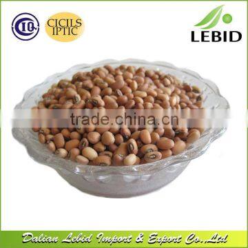 China Origin small size cowpea