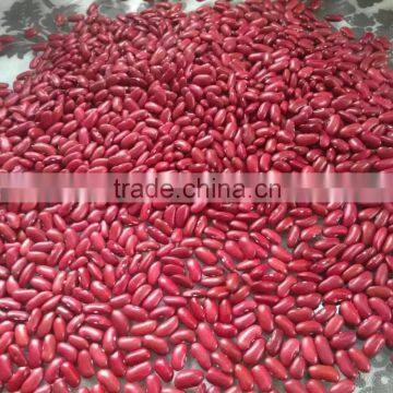 Red Kideny Bean photo-3