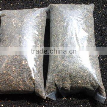 GREEN TEA BANGALDESH