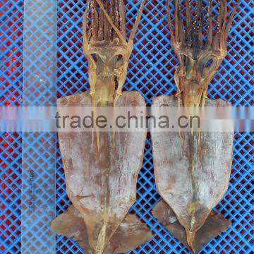 High Qulity Dry Squid for Sale