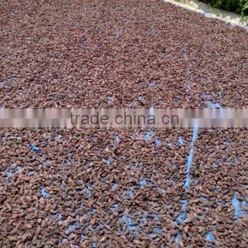 Black Cardamom From Viet Nam photo-3