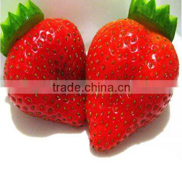 Healthy and Delicious Strawberry Chocolate Snack Food61
