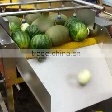 Hp-360 Vegetable And Fruit Brush Washing Washer And Drying Dryer Machine photo-6