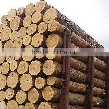 Wood Round Logs /Timber Log / Sawlogs / RUSSIAN ORIGIN photo-2
