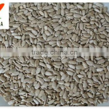 New crop chinese sunflower seeds kernels(bakery)