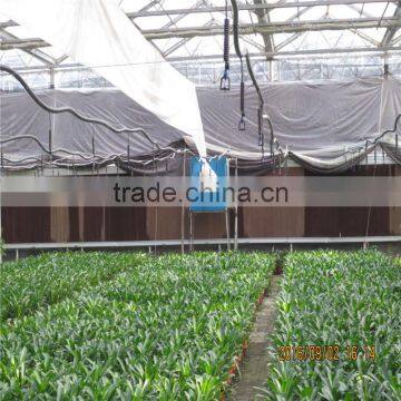 China Factory Plastic Polyethylene Film Arch Green House photo-4