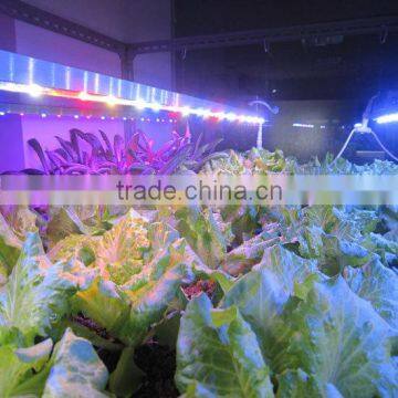 2016 Hot Product Marshydro Waterproof Hydroponic Grow Light Bar LED 23W 46W 92W Greenhouse Grow LED Light Bar photo-5