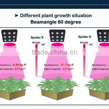 Igrow New Product Distributor Wanted Lettuce Autopot African Violet Menards Led Grow Light photo-5