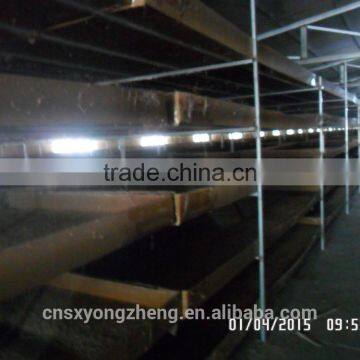 High Protein Dried Mealworms Wild Bird Food(freeze Dry) photo-4