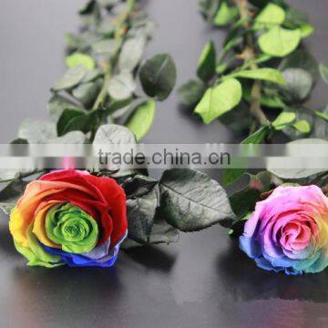 Rose Flowers Decorative Flowers And Gifts New Design For Holidays Christmas Gift photo-6