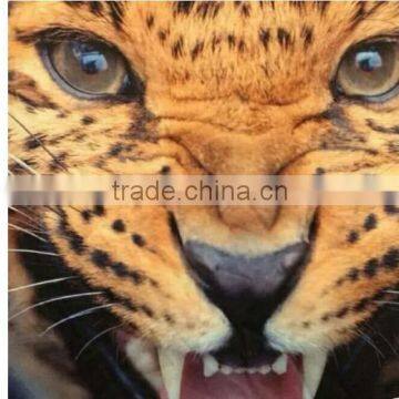 High Quality 3d Printed t Shirt Fashion Tshirt 3D Print Summer Tee Shirts Short Sleeve White Casual Tee photo-3