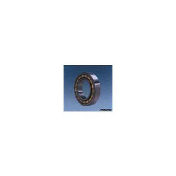 Cylindrical Roller Bearing