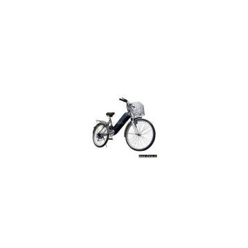 Electric Bicycle