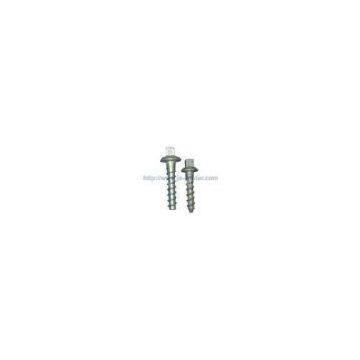 Square Screw Spike