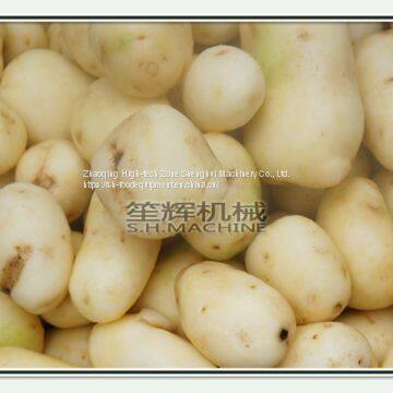 Commercial Fish Scale Peeling Machine Sweet Potato Taro Radish Ginger Peeling Machine photo-3