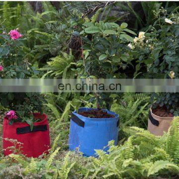 Felt Material Pots for Plants Flower photo-4