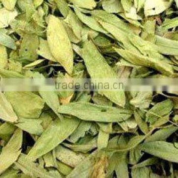SENNA LEAVES